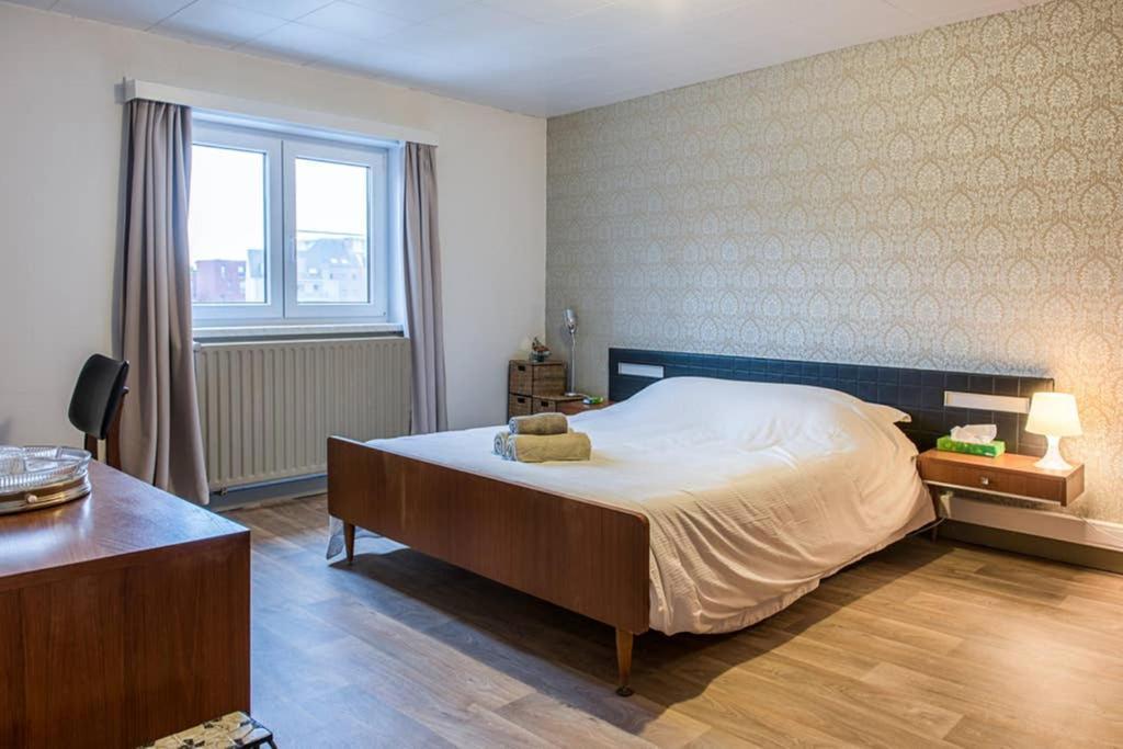 Vakantiewoning In Mol Centrum Met Eigen Bar "Casacuriosa" 外观 照片